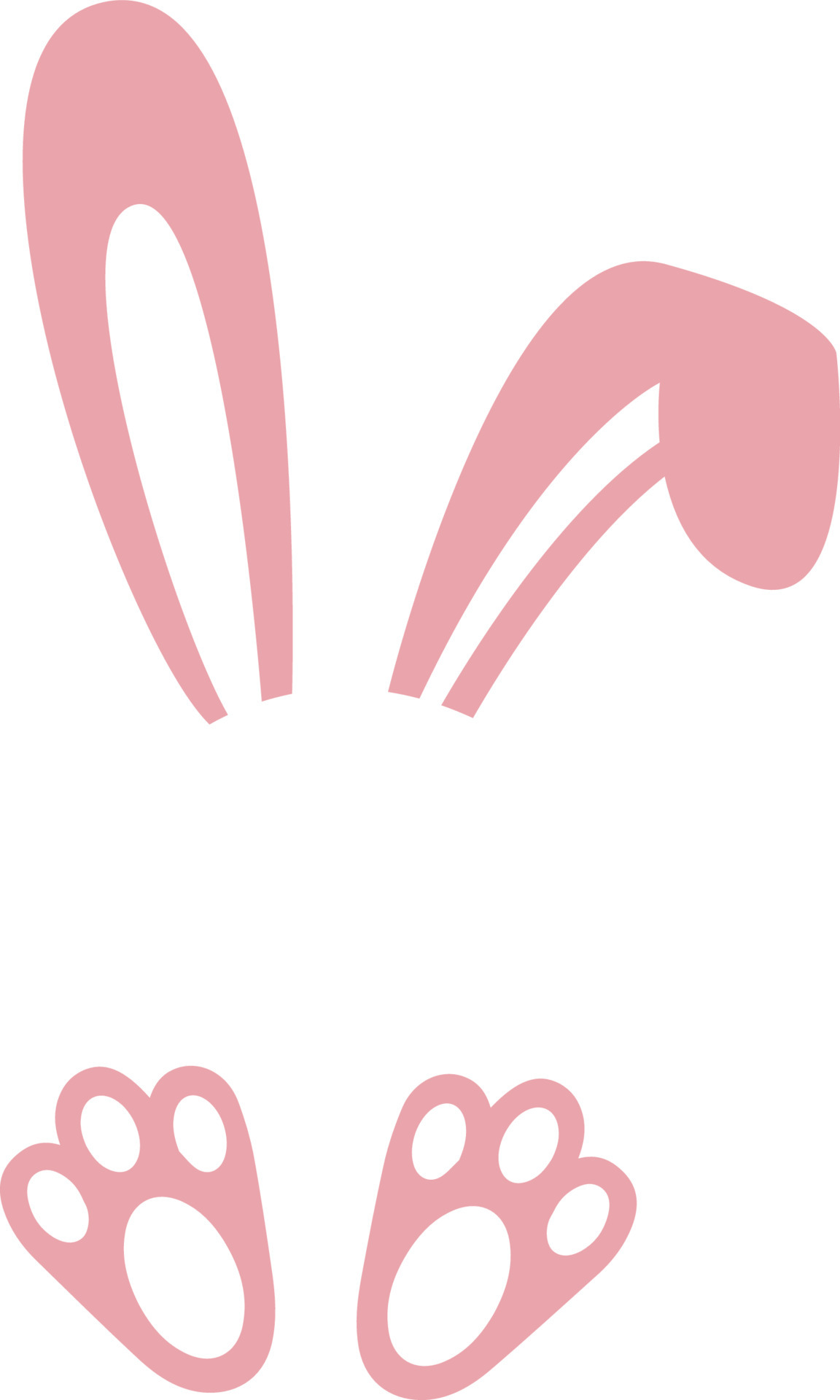 Bunny Name Frame 6571357 Vector Art at Vecteezy