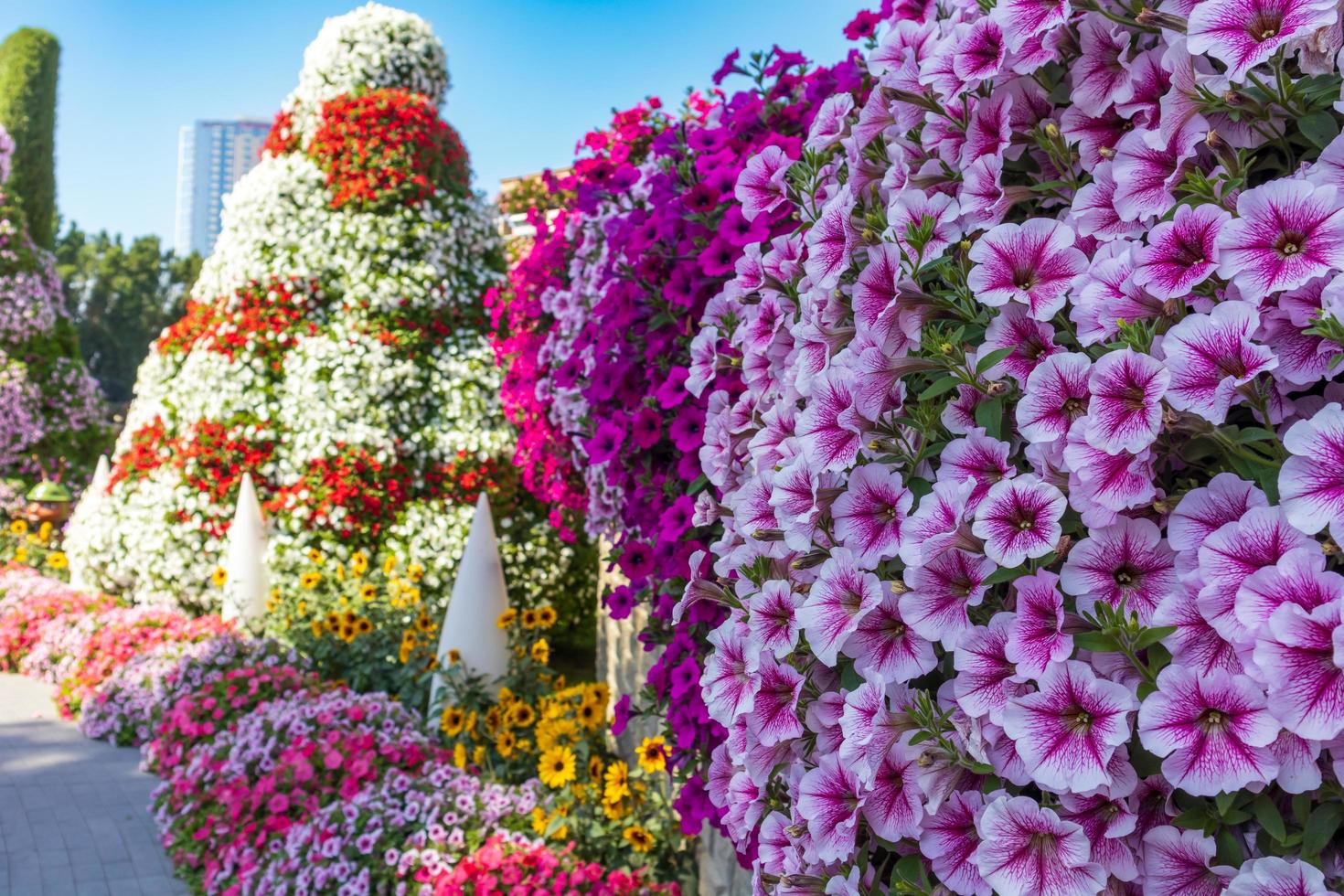 flores en el parque foto