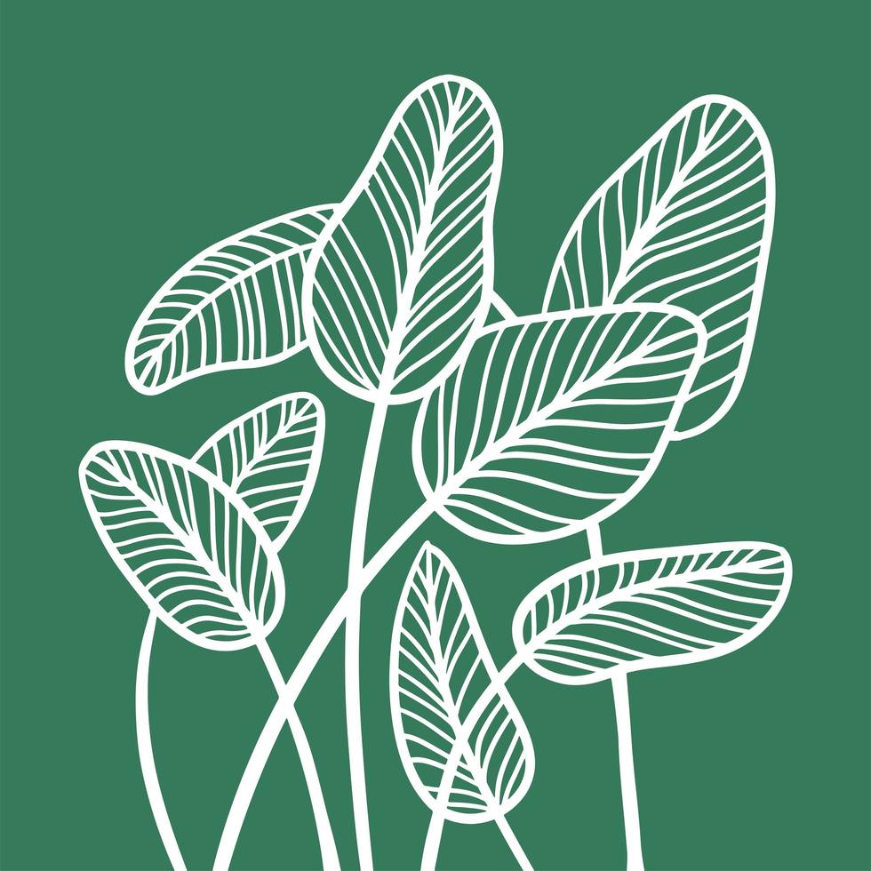 Group of abstract leaves in linear sketch style. Trendy minimalistic outline art of tropical palm leaf. Vector hand drawn illustration of exotic plant isolated on green background.