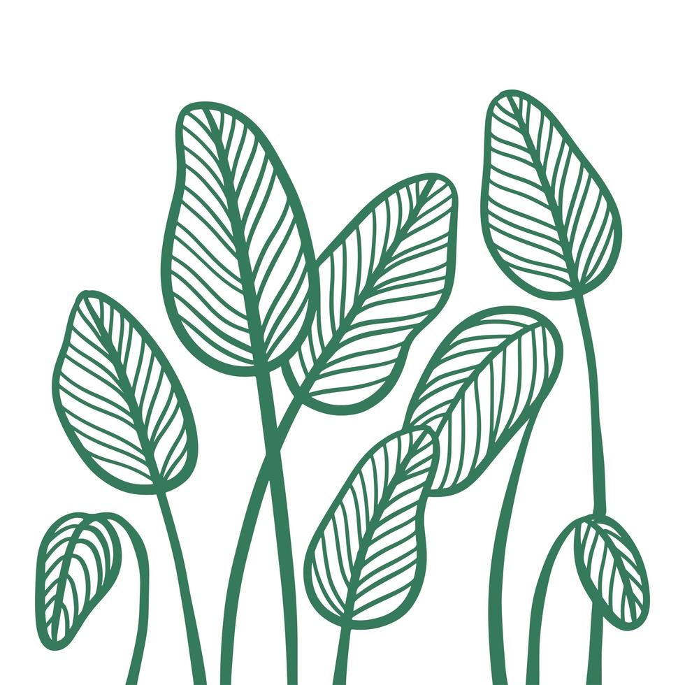 Abstract tropical leaves composition. Minimal design, freehand clip art drawn in modern sketch style. Elegant continuous line poster for a Scandinavian interior. Outline vector illustration.