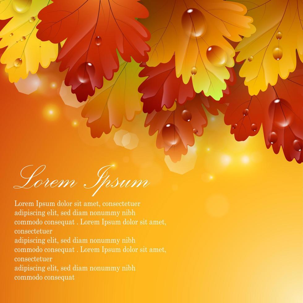Bright beautiful leaves with autumnal abstract backgrounds vector