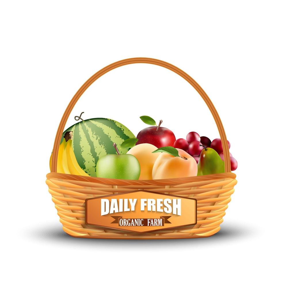 Fresh fruits in wicker basket isolated on white.vector vector