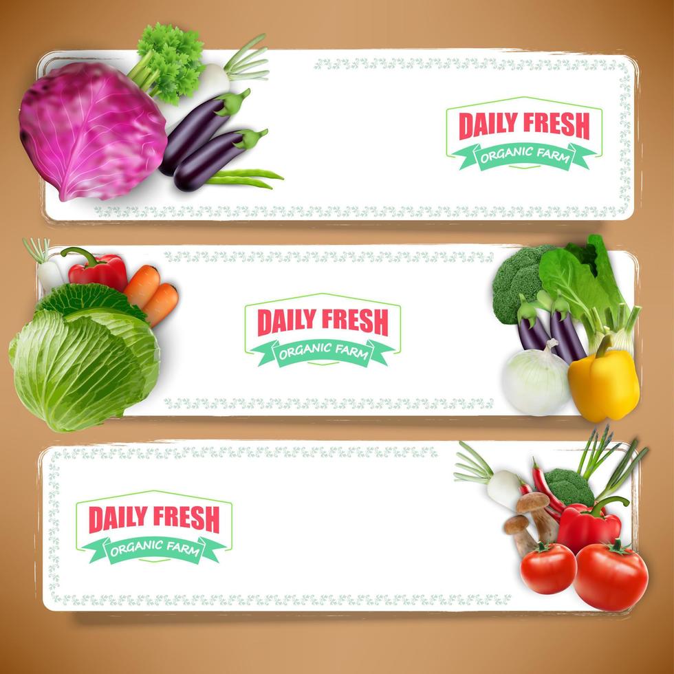 banners de verduras y fondo de verduras vector