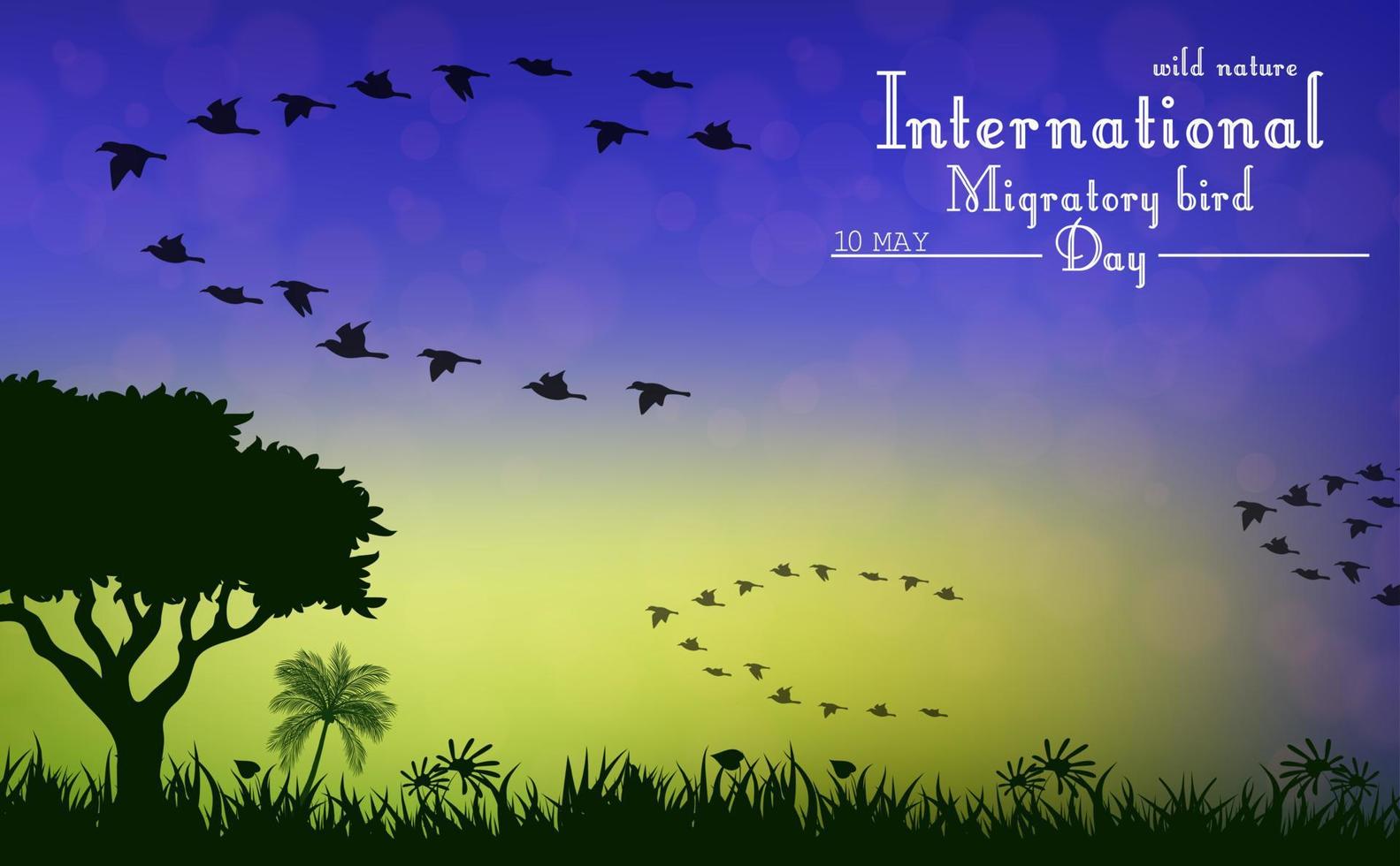 Birds migratory day on sunset background vector