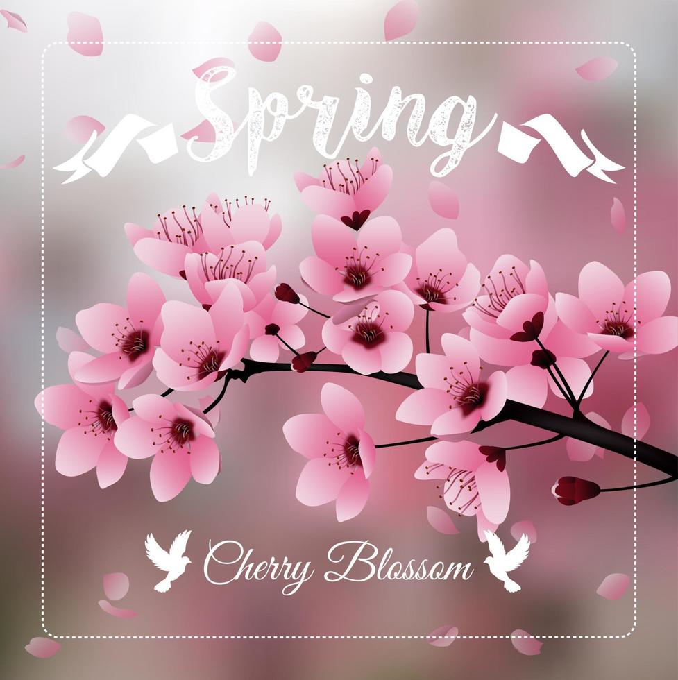 Cherry blossom, Sakura flowers branch on blurred background vector