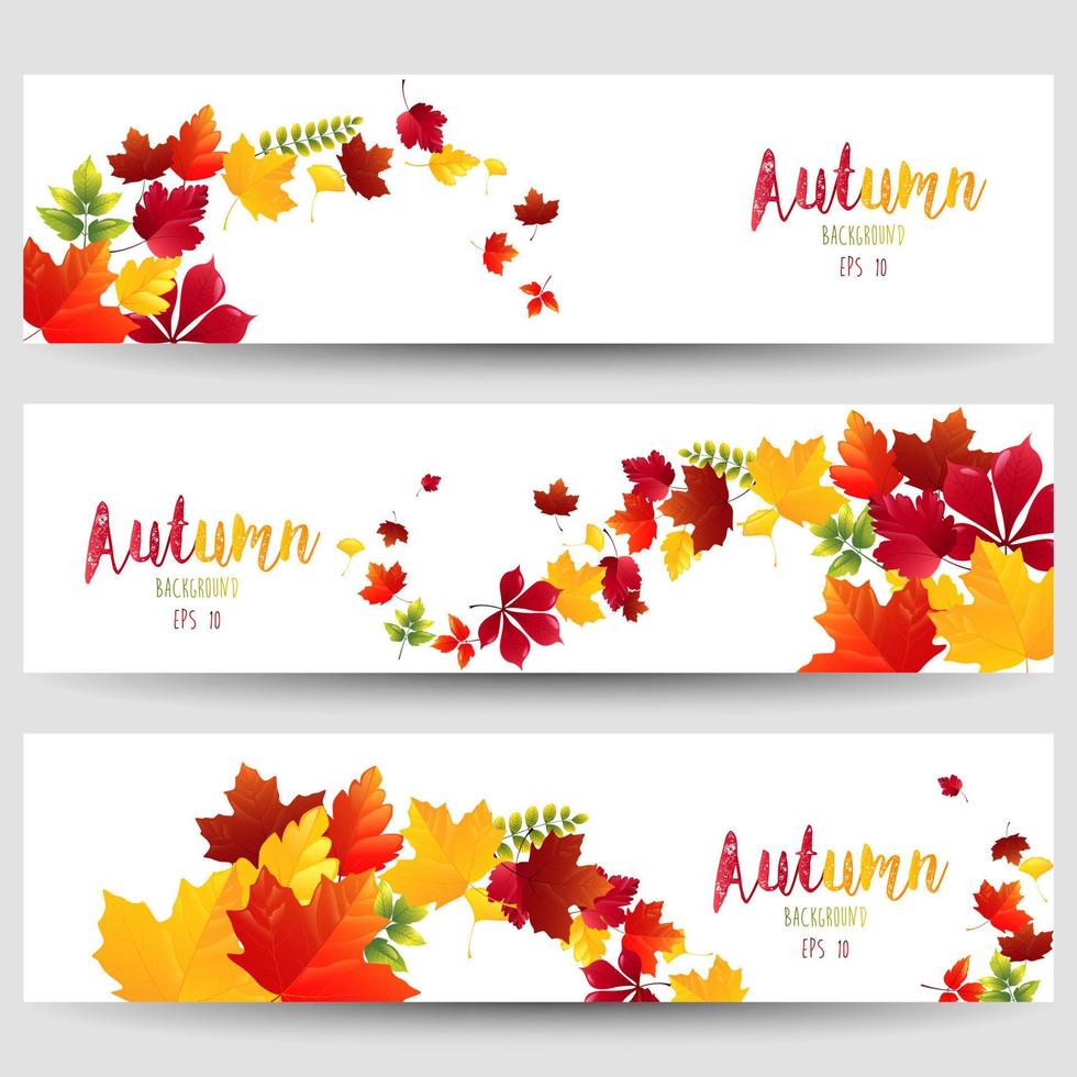 Colorful autumn leaves of banners vector