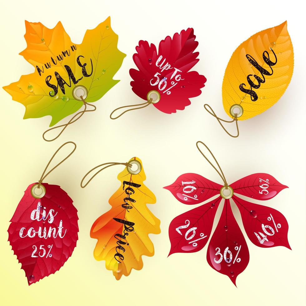 Autumn leaves discount.Vector vector