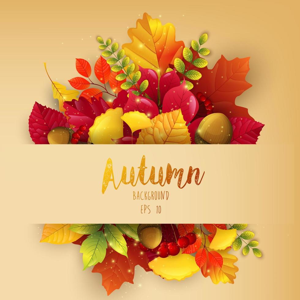 hojas de otoño marco background.vector vector