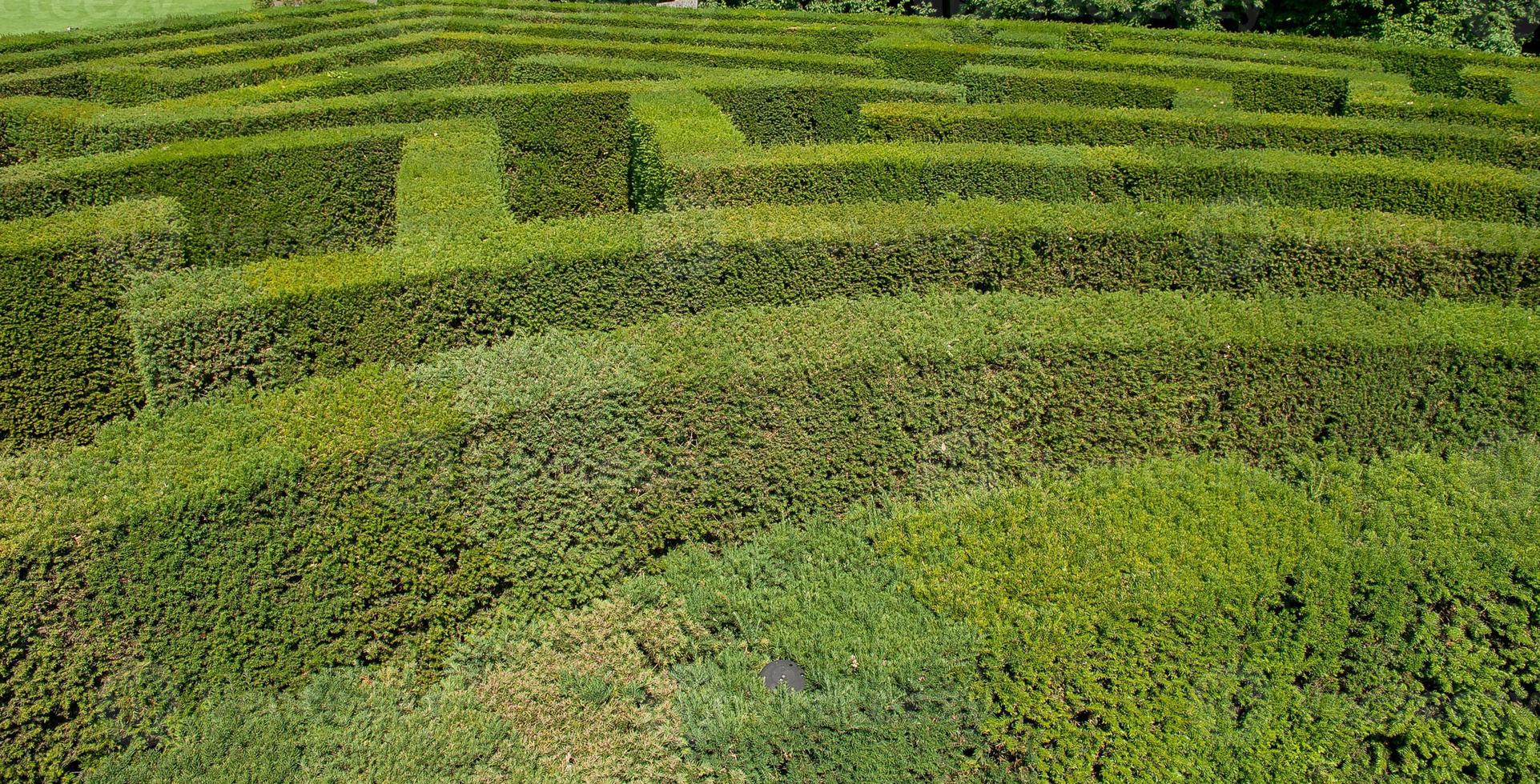 Labyrinth in botanical garden photo