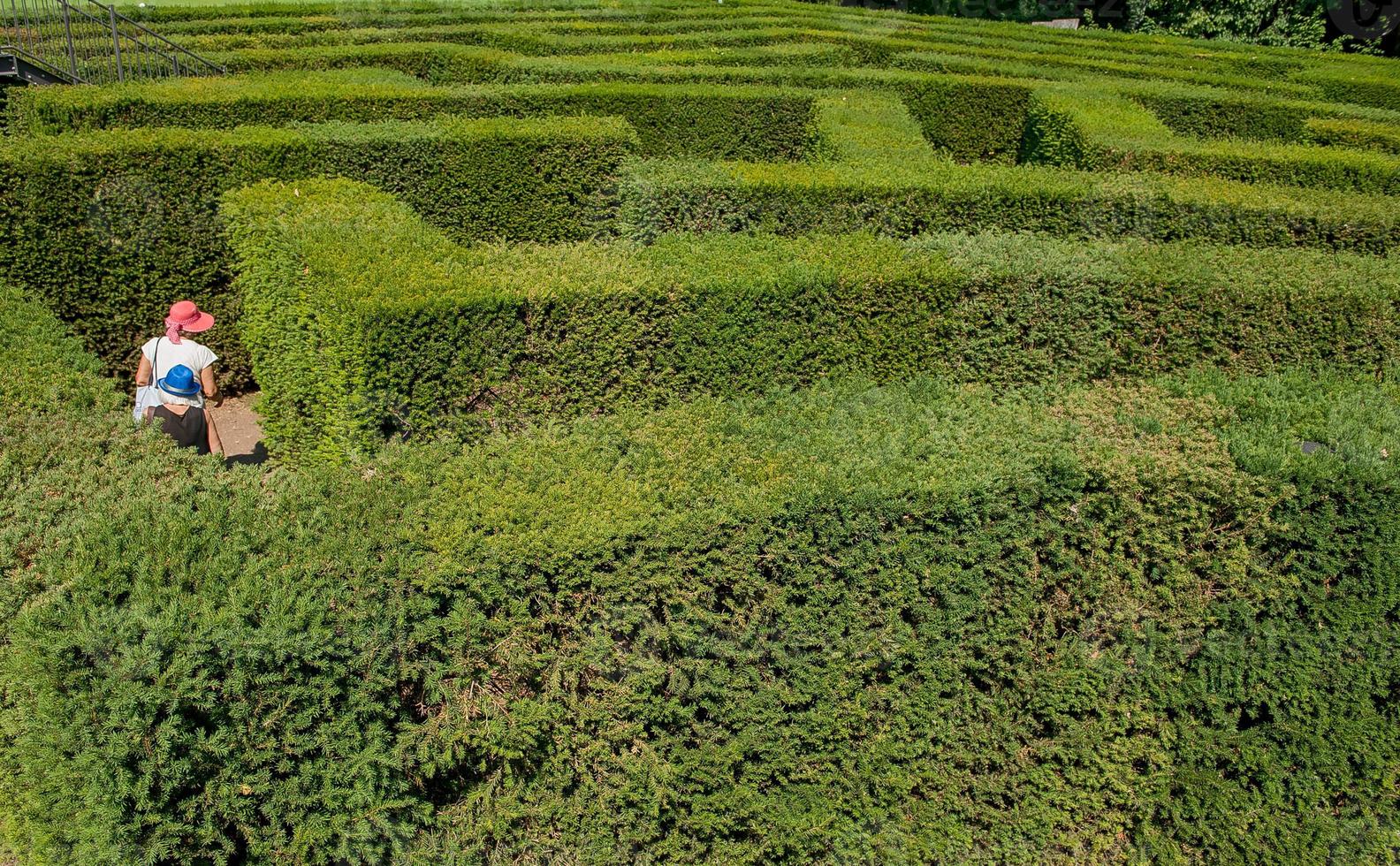 Labyrinth in botanical garden photo