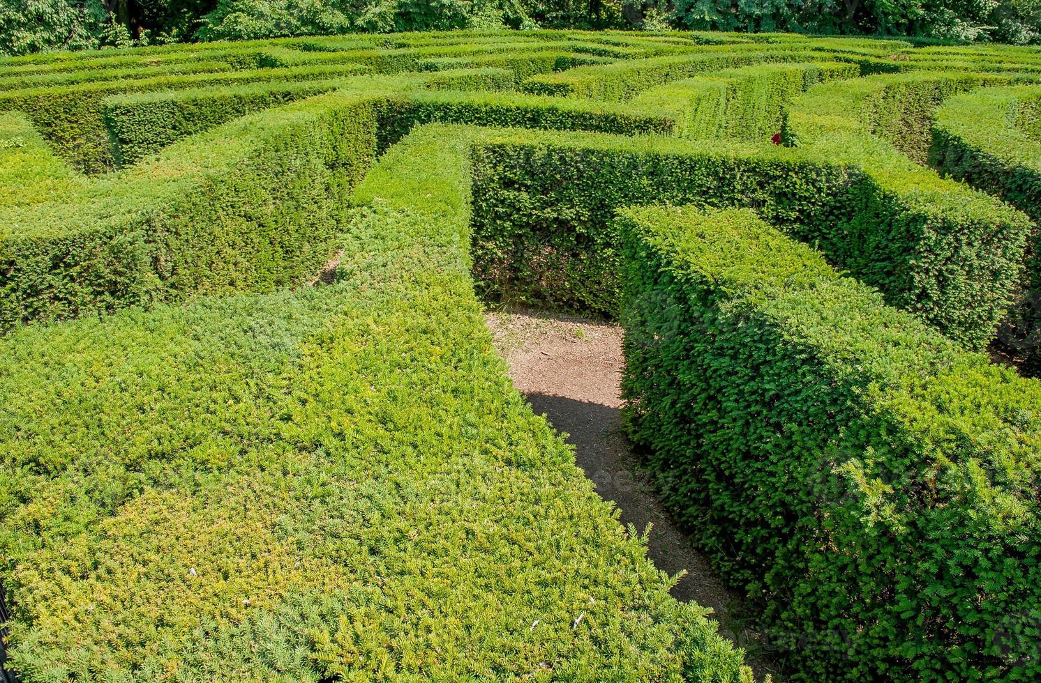 Labyrinth in botanical garden photo