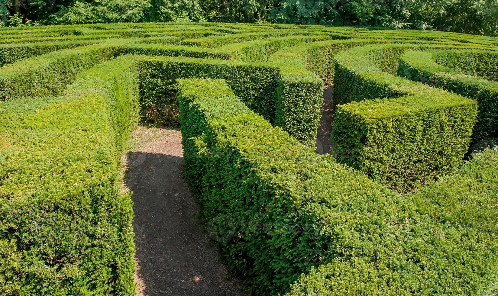 Labyrinth in botanical garden photo