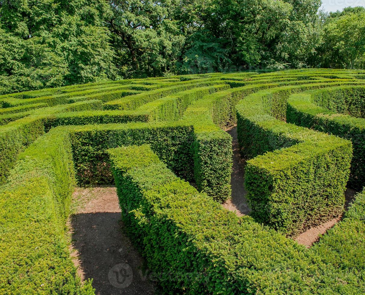Labyrinth in botanical garden photo