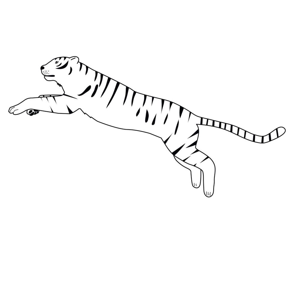 Black and white image of a running tiger. vector