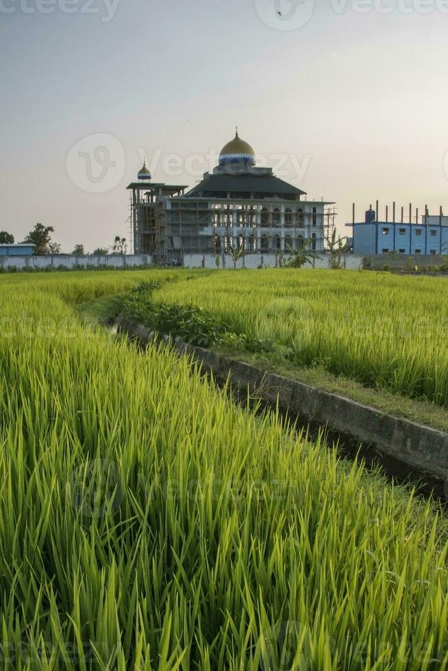 Construction of mosque architecture photo