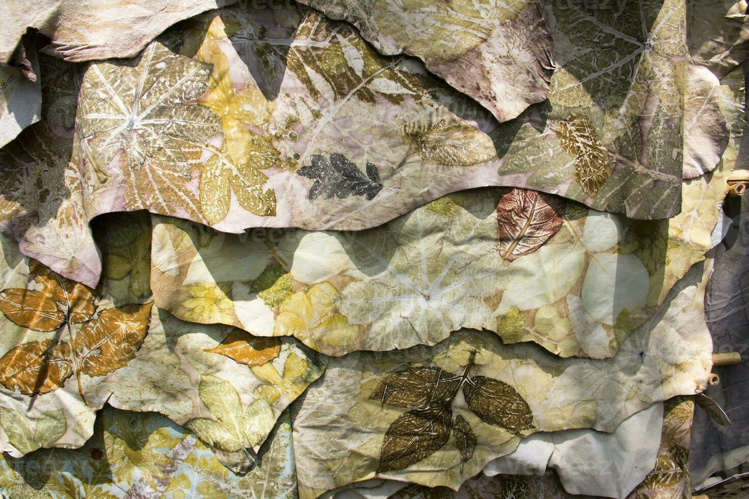 Art traditional hand painting with dry animal skin photo