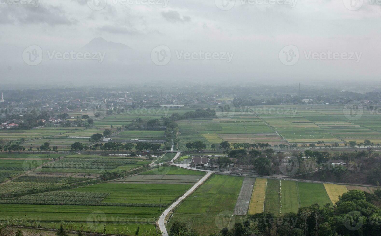 Natural scenery when foggy in the morning photo