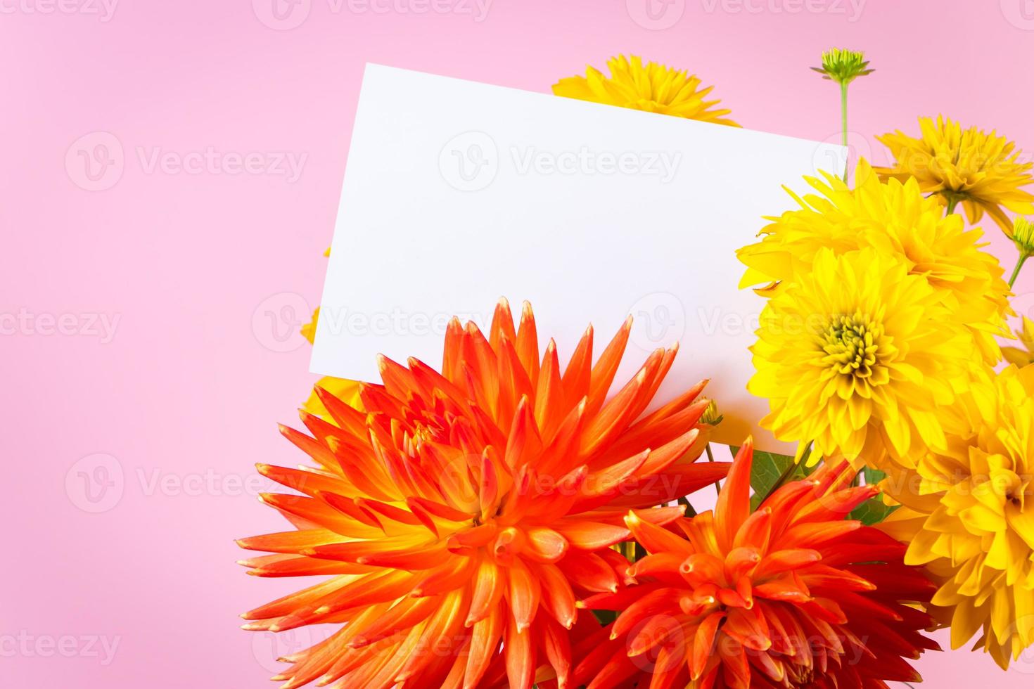 Blank greeting card in bouquet of yellow and red summer flowers on pink background. photo