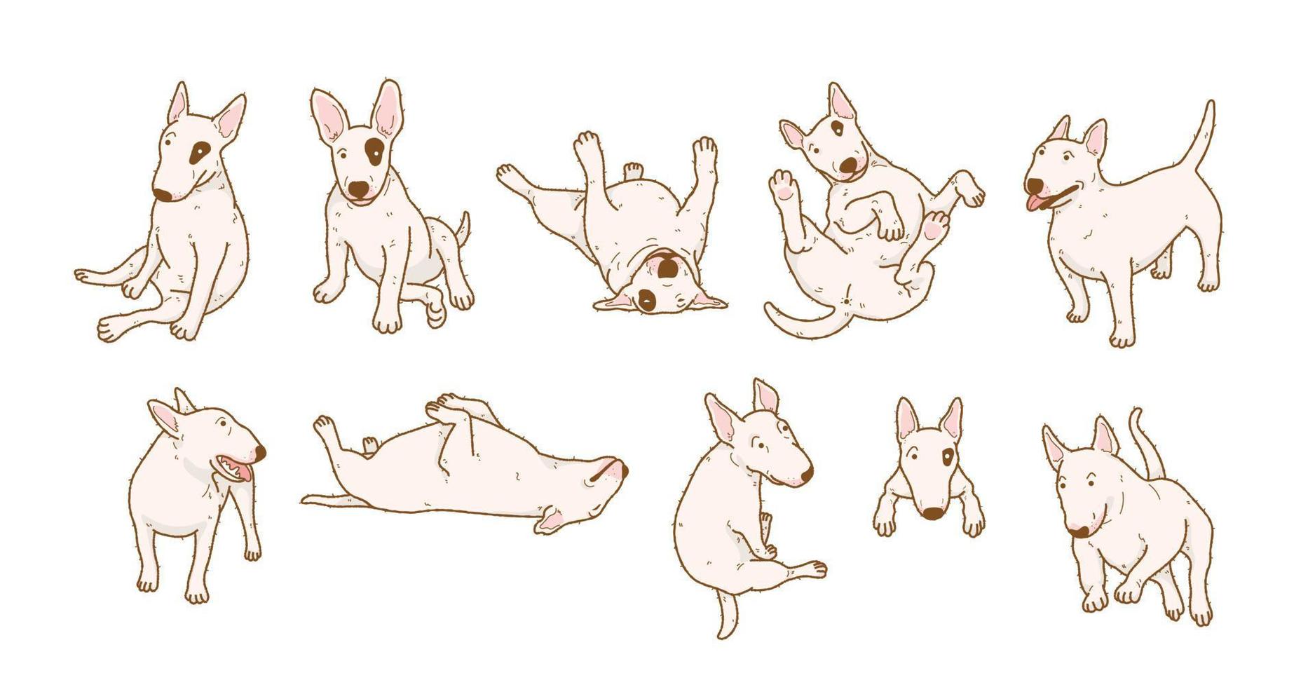 Cartoon bull terrier dog illustration set vector