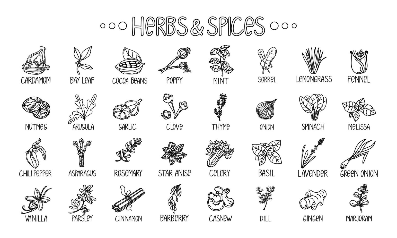 Icons of herbs and spices, drawn element in the style of a doodle. Template package design on a white background. Logo or emblem - herbs and spices - poppy, cashew, etc. Logo in a fashion line vector