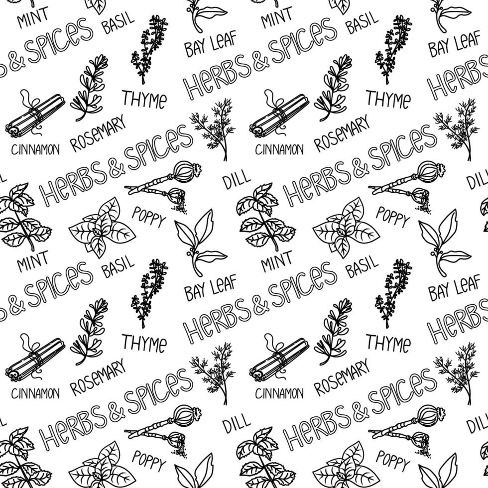 Seamless herbal pattern, drawn element in doodle style. Silhouettes of herbs, spices and names on white background - cumin, rosemary, basil, bay leaf, etc. Pattern in a fashionable linear style. vector