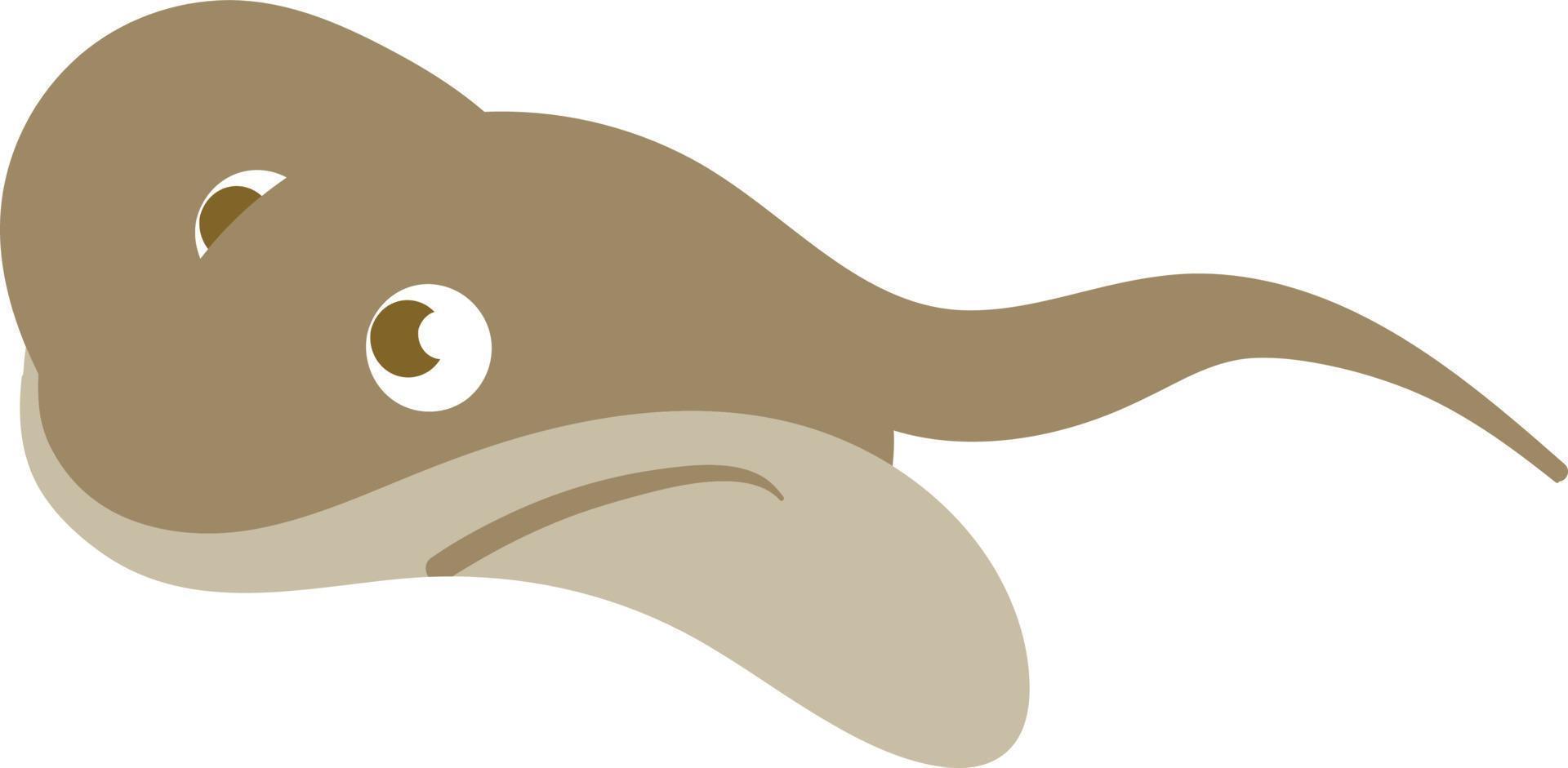 Brown colored ray fish, batoidea swimming. Cute vector isolated illustration of ray fish,