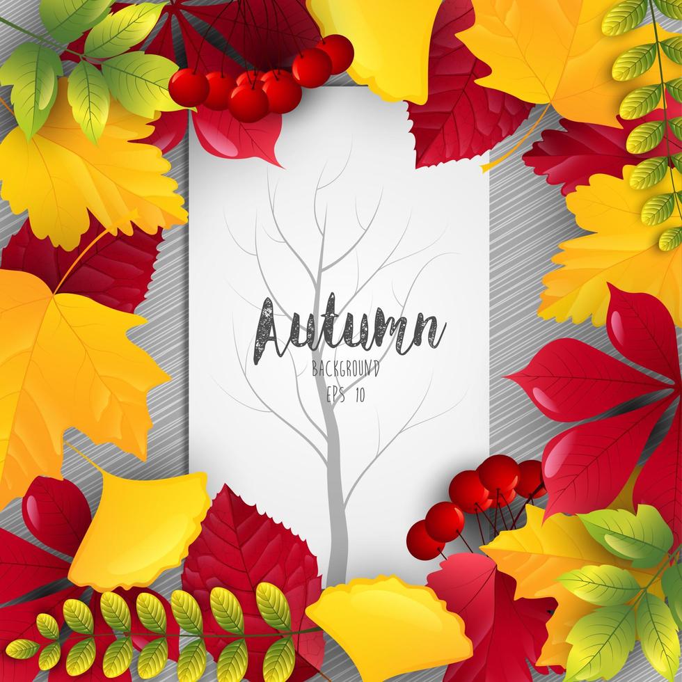 Autumn leaves frame with tree silhouette on center paper vector