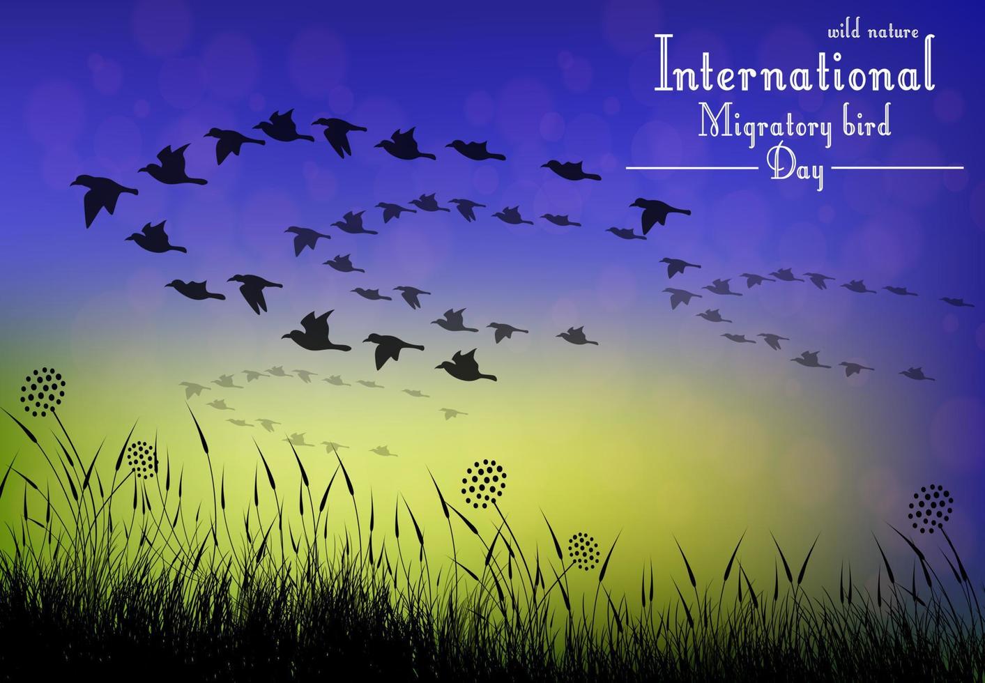 Birds migratory day on sunset background.Vector vector