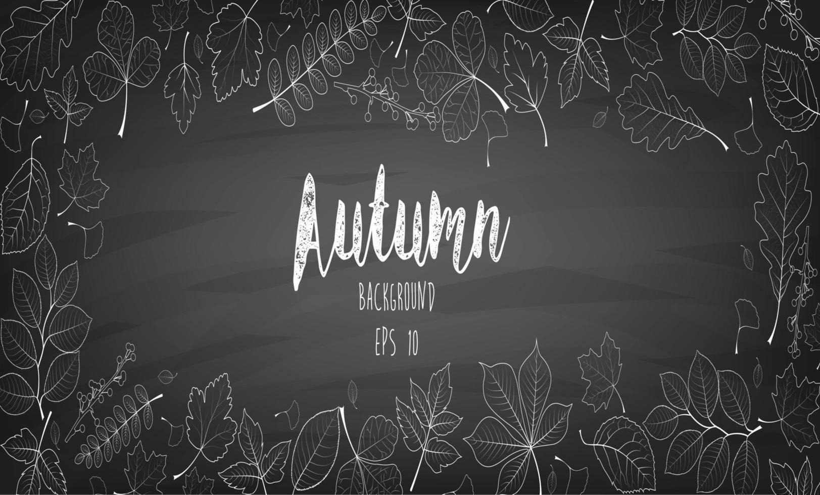 Autumn leaves written with chalk on black chalkboard vector