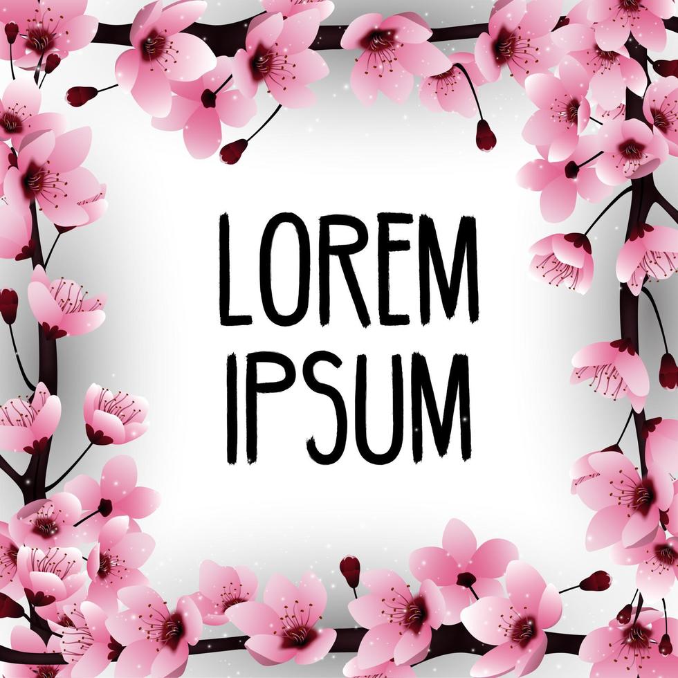 Flowers sakura frame Background with frame for text vector