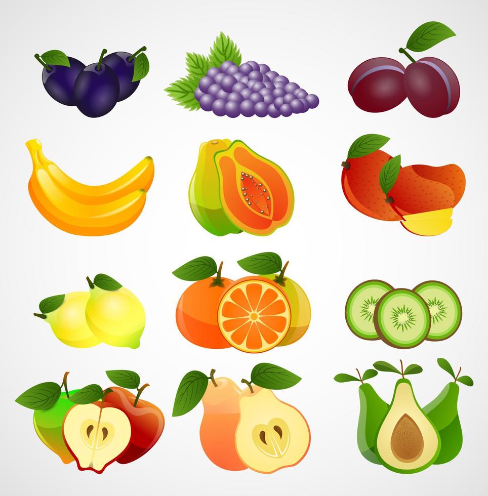 Fruits collection of slices on white background.Vector vector
