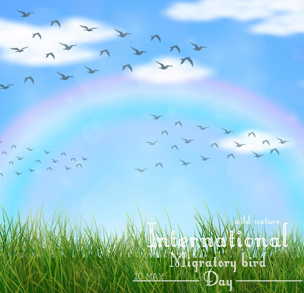 Wild nature with green grass and flying birds.Vector vector