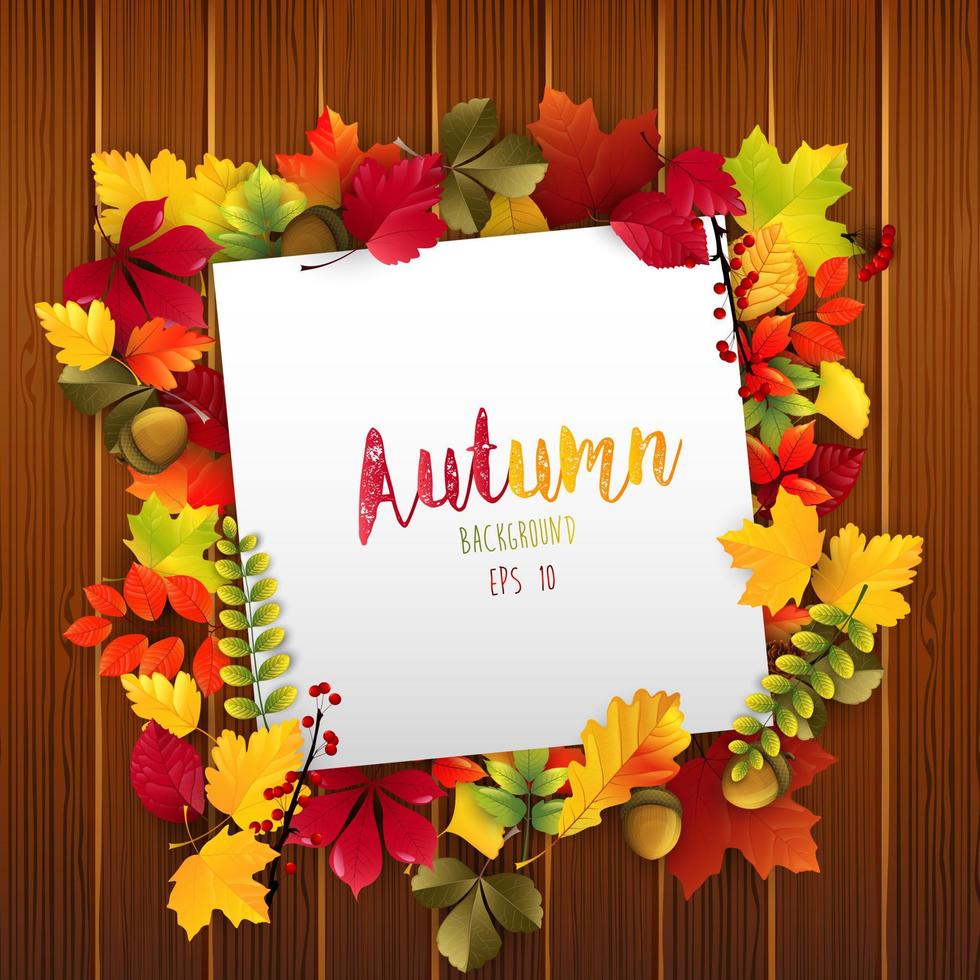 Paper design with autumn leaves and acorns on wood background.Vector vector