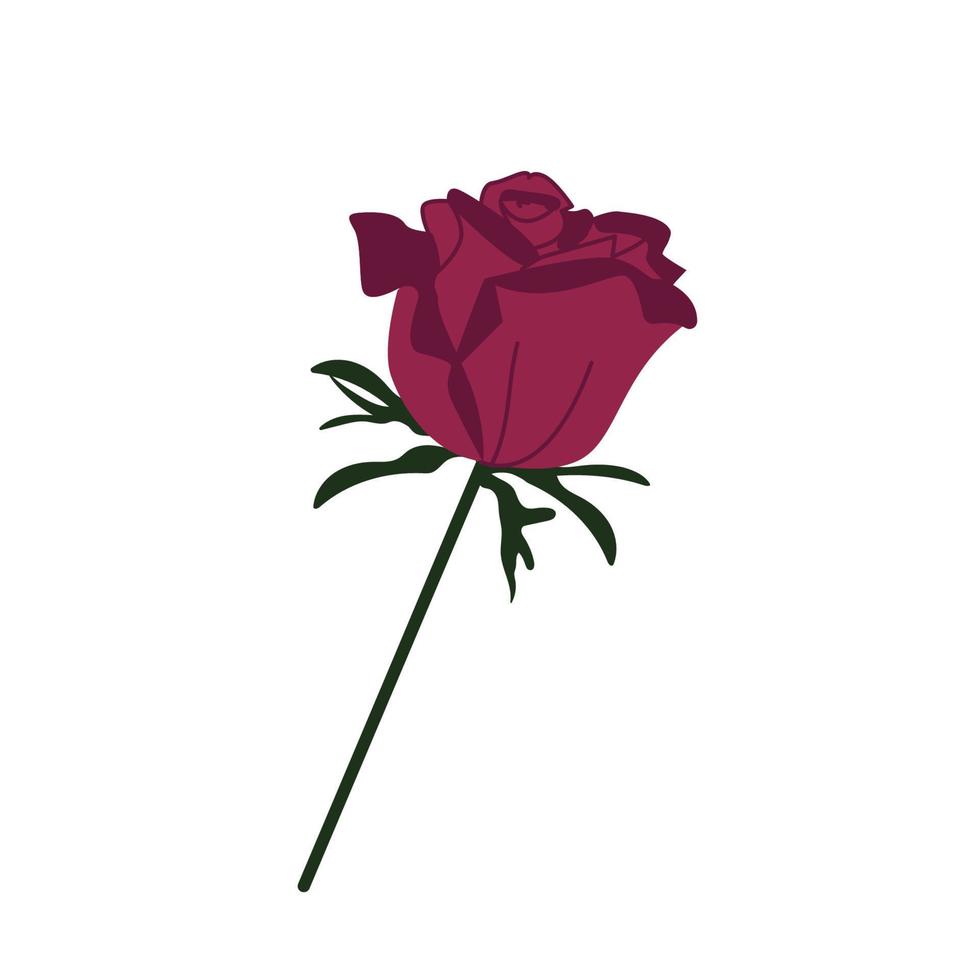 Flat isolated vector illustration flower rose