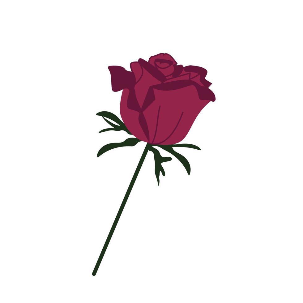 plano aislado vector ilustración flor rosa