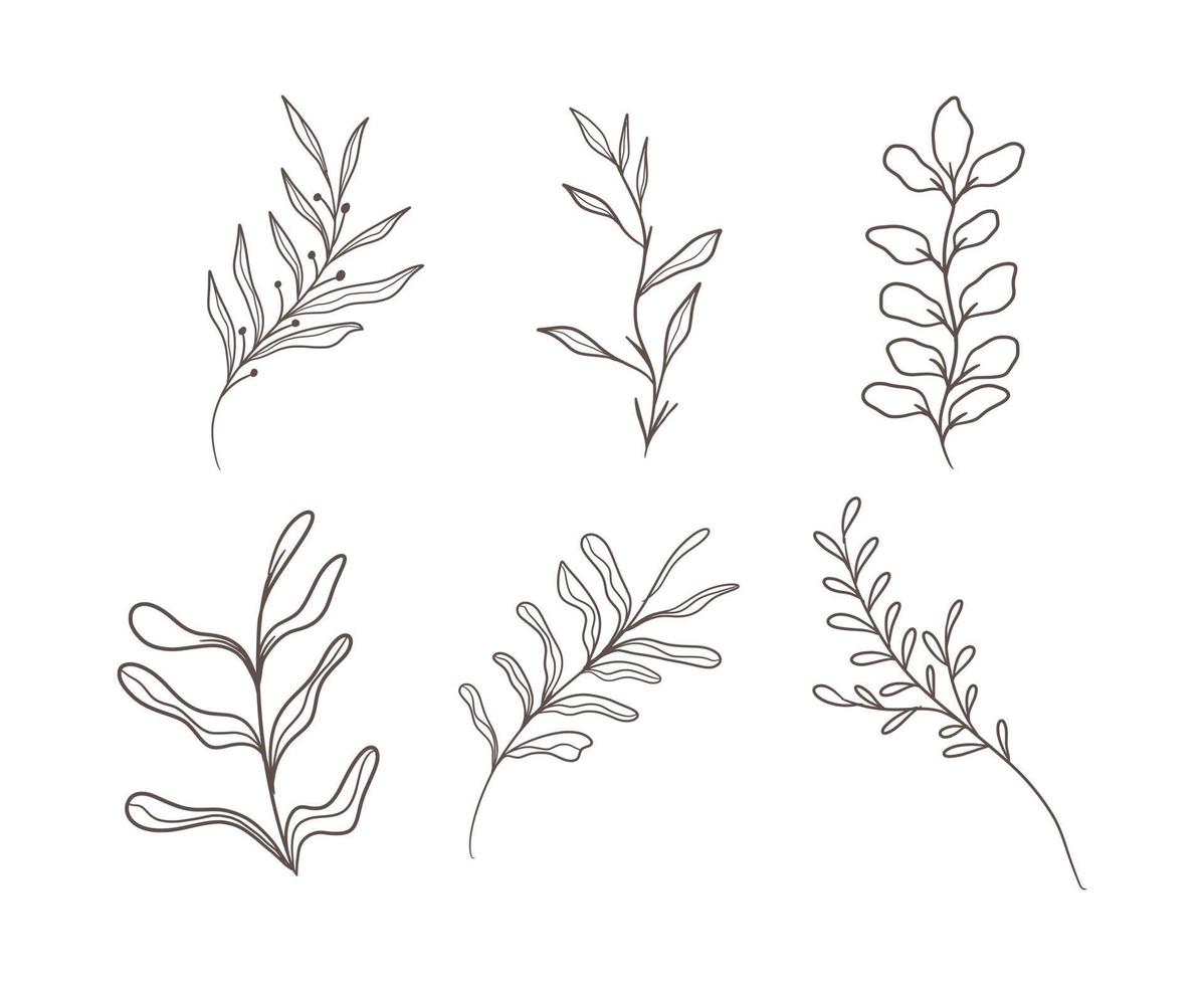 hand drawn decorative leaves vector