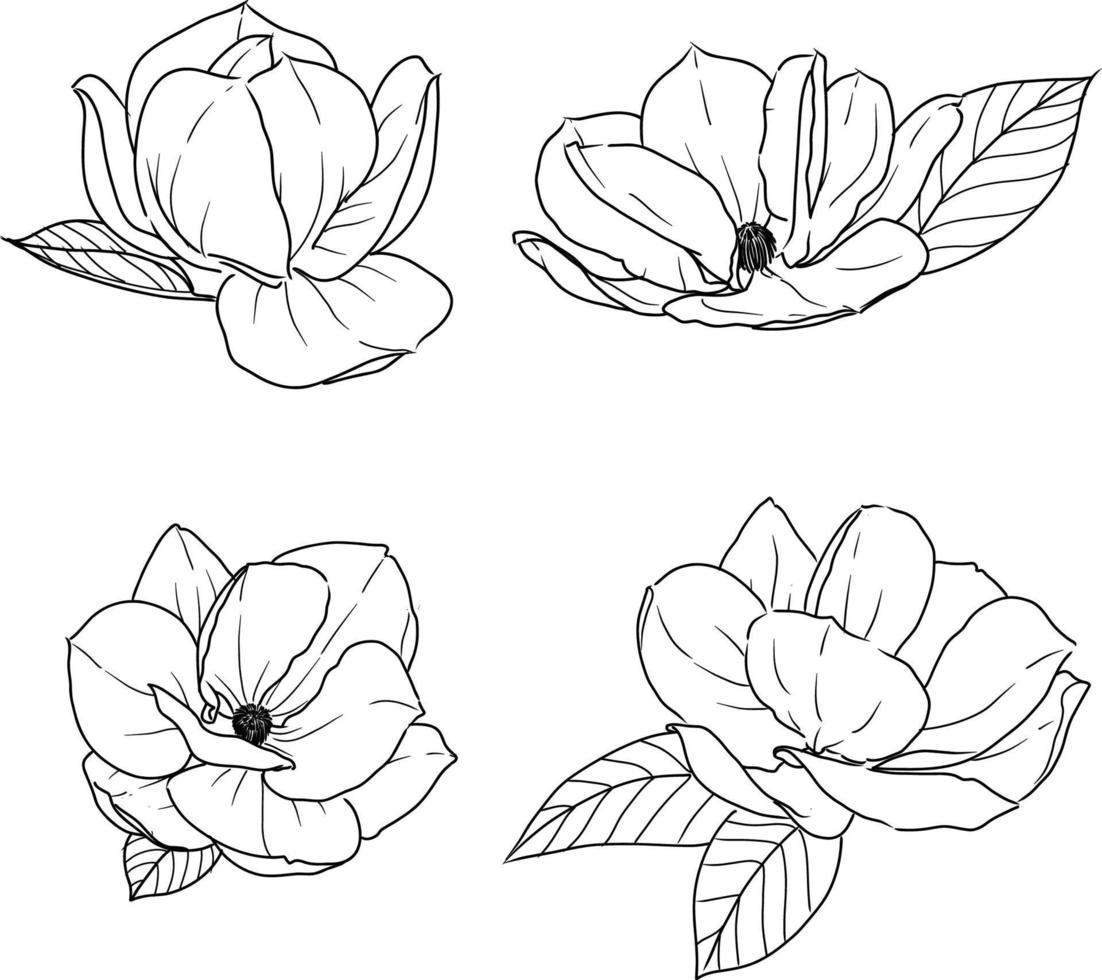 Set 1 of isolated peony ihand drawn flower vector illustration