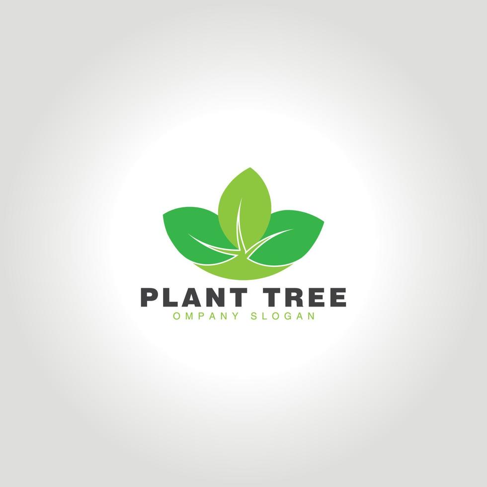 Tree logo, vector logo template