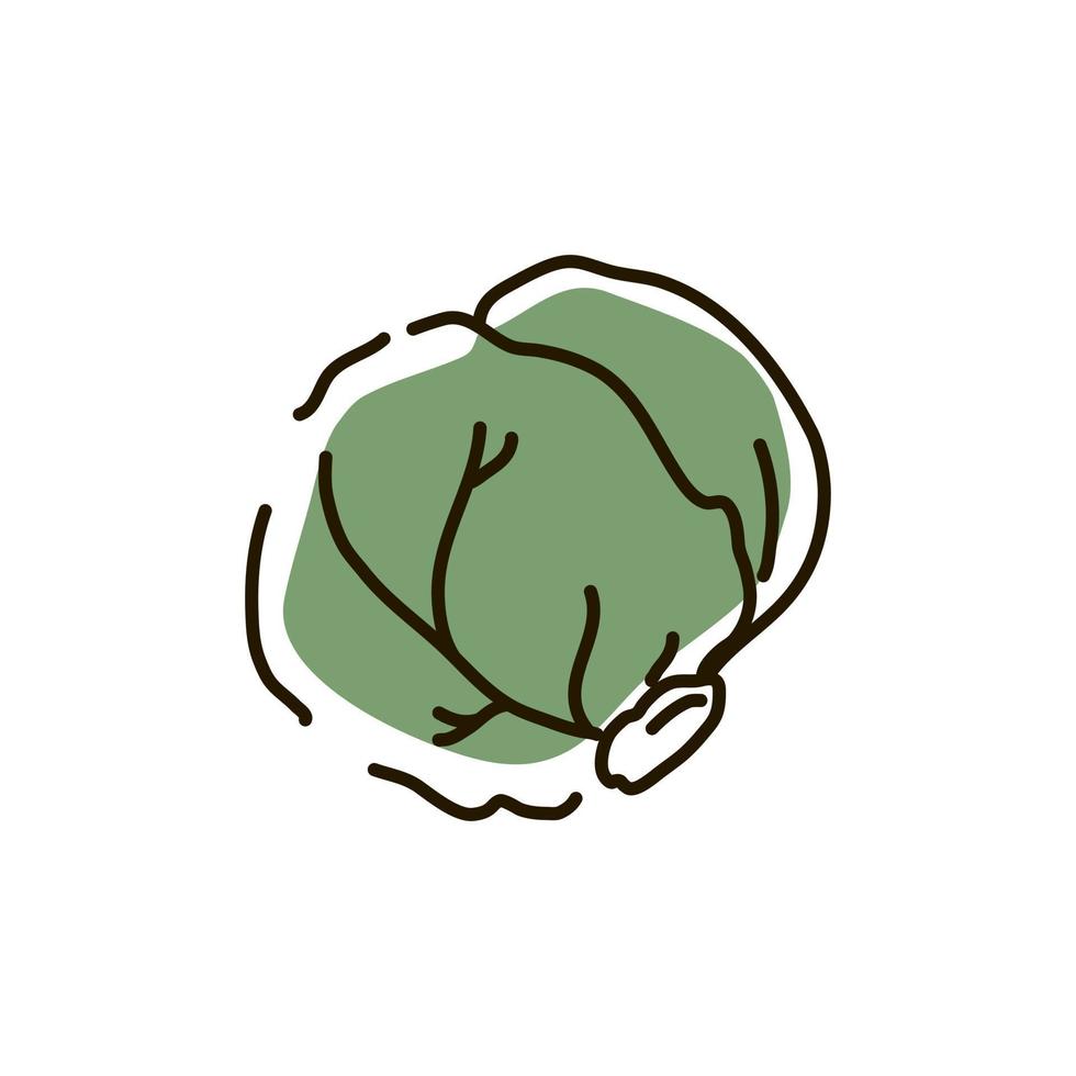 Brussels sprouts outline on a white background. Icon. Vector illustration.