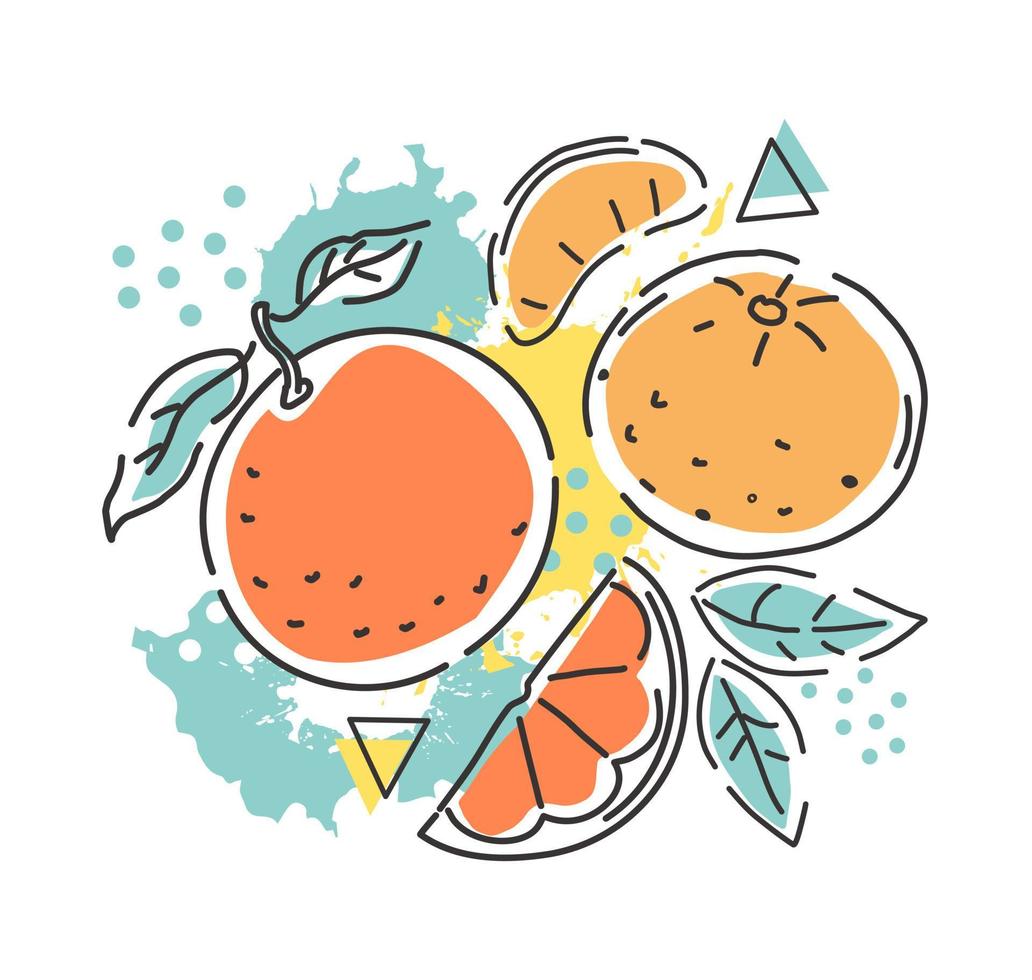 Orange and tangerine on an abstract background. Packaging design. Vector hand illustration.