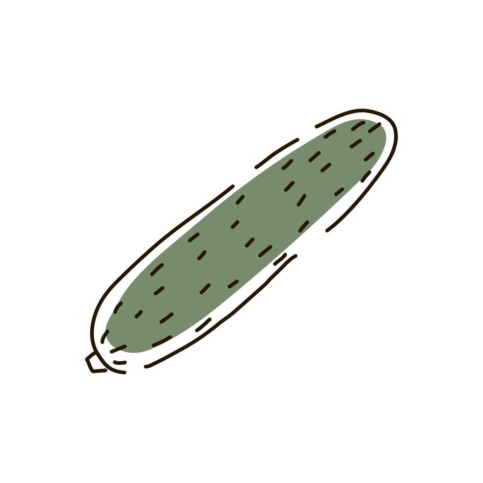 Cucumber outline on a white background. Icon. Vector illustration.