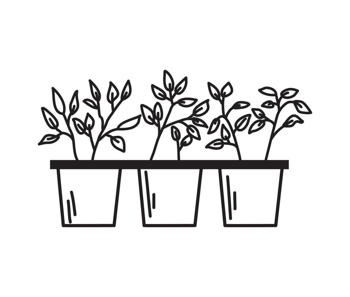 Pots with seedlings on a white background in the outline style. Vector illustration.