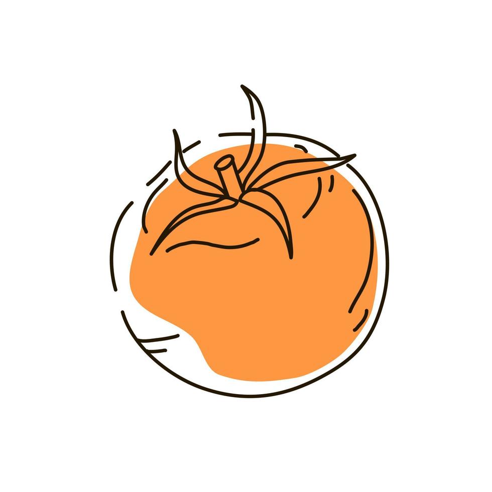 Tomato outline on a white background. Icon. Vector illustration.