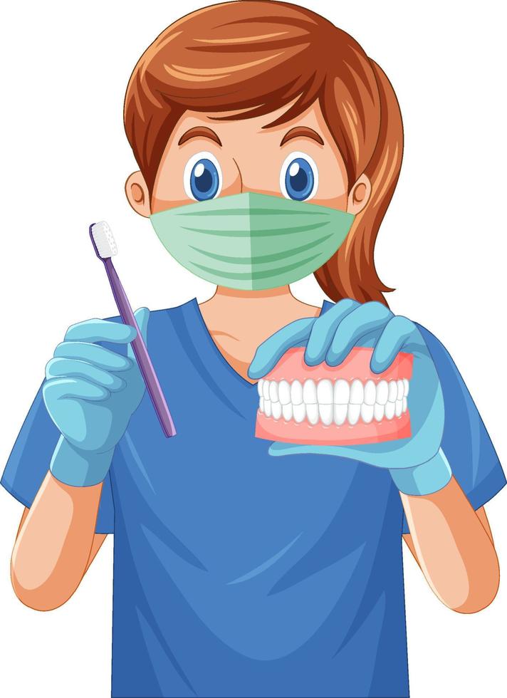 dentista con cepillo de dientes y modelo de dientes humanos vector
