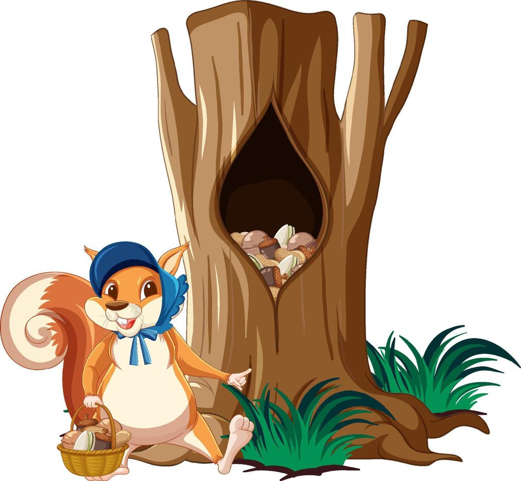 Cute squirrel collecting nuts vector