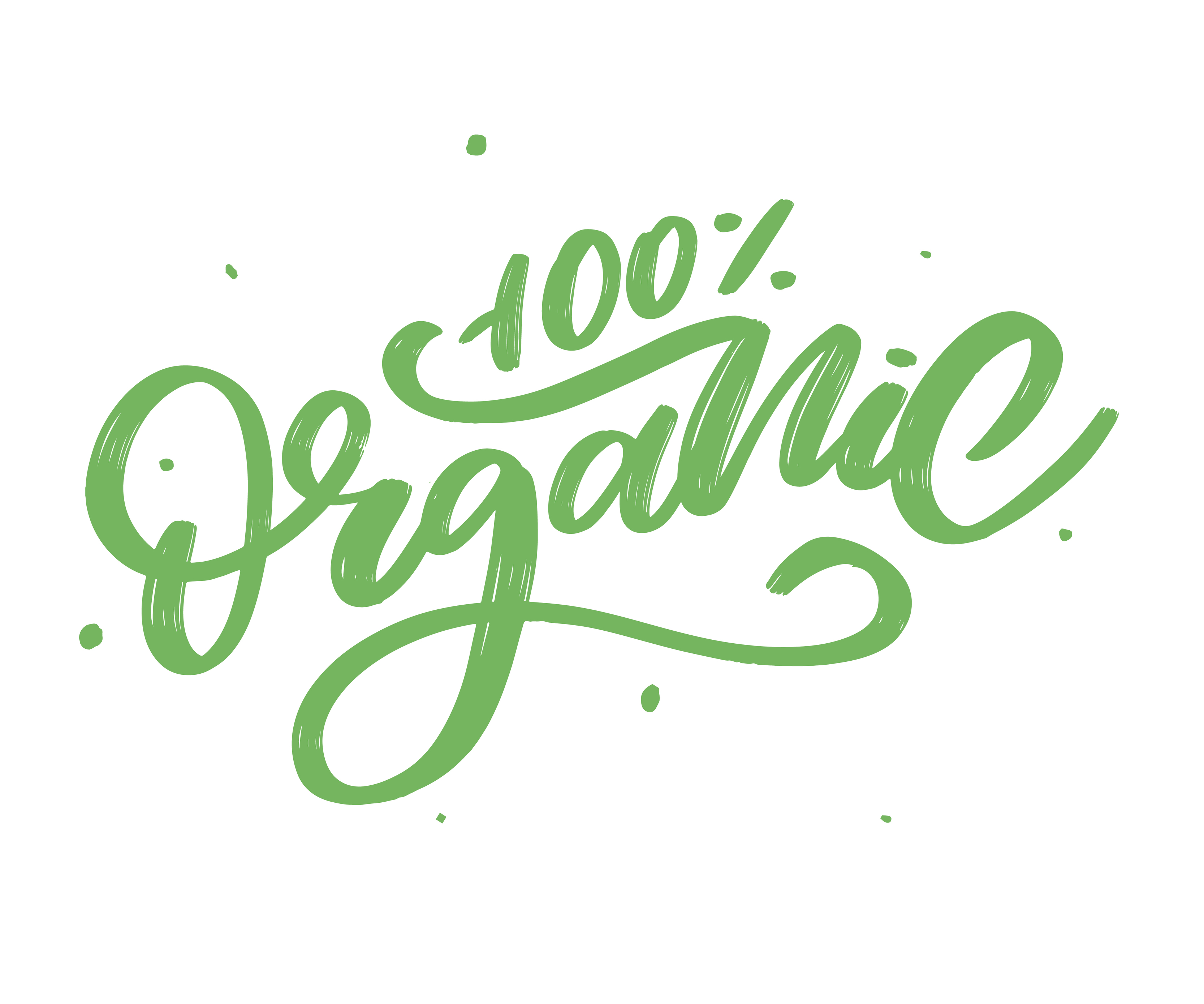 Organic brush lettering. Hand drawn word organic with green ...