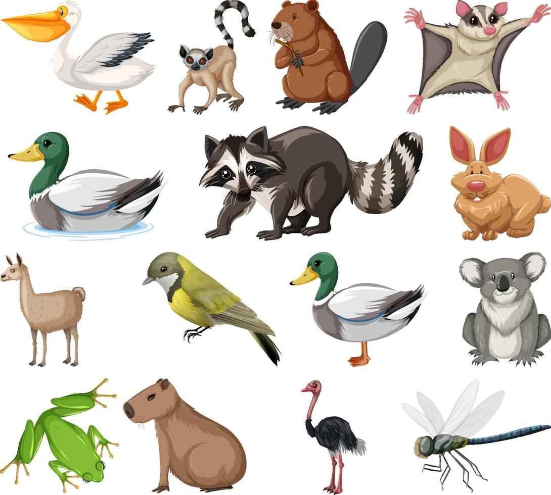 colección de diferentes tipos de animales vector