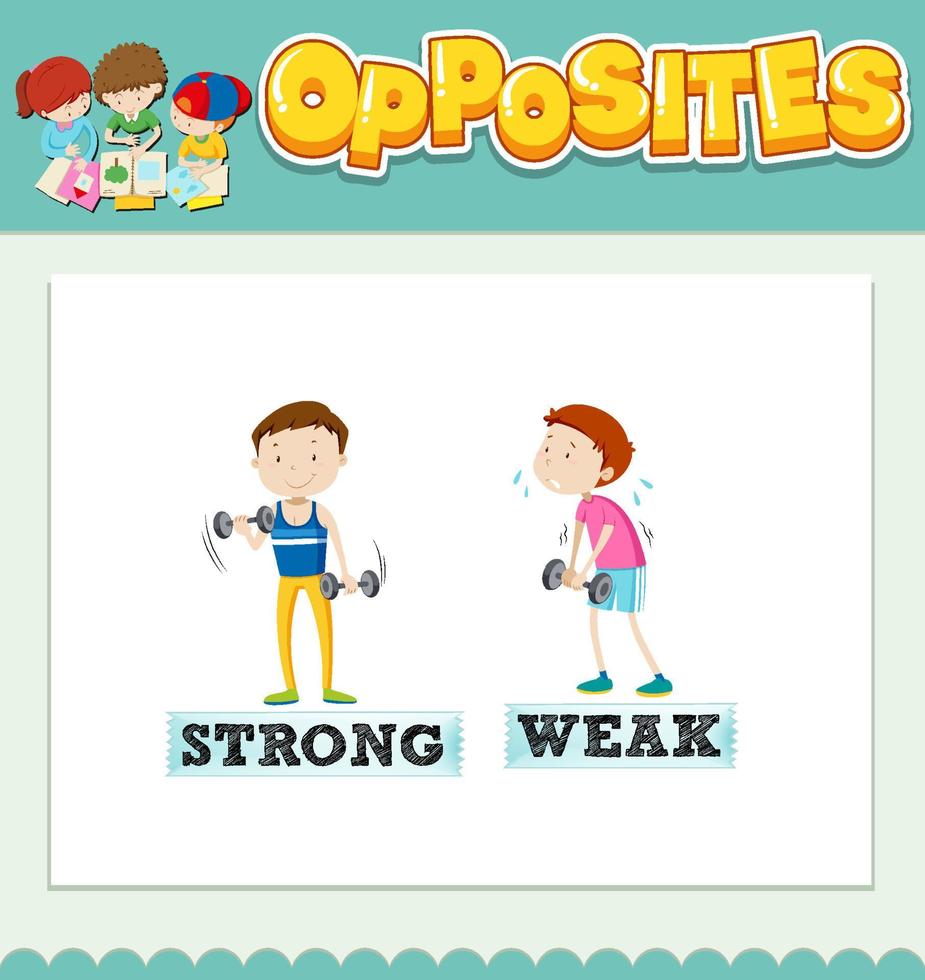 Opposite words for strong and weak vector