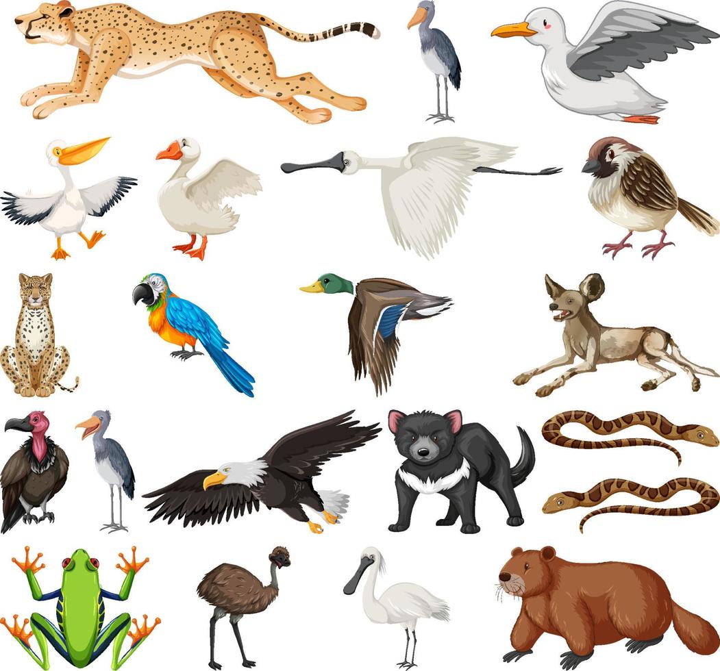 colección de diferentes tipos de animales vector