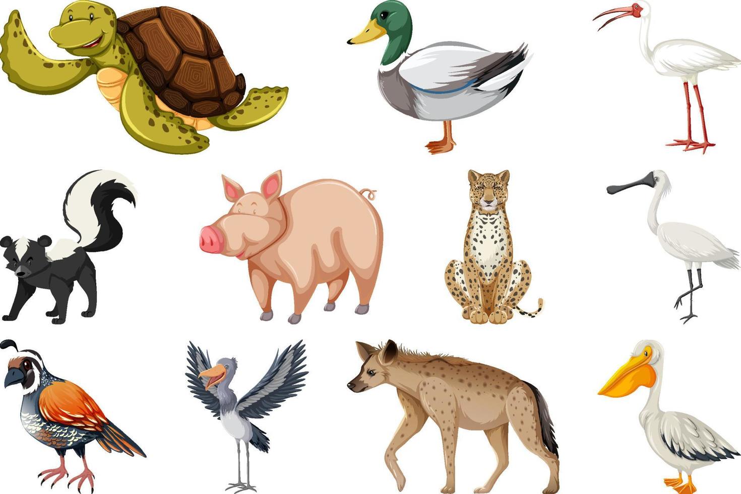 conjunto de diferentes tipos de animales vector